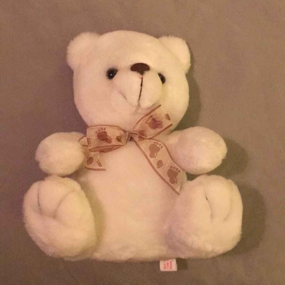 Teddy bear